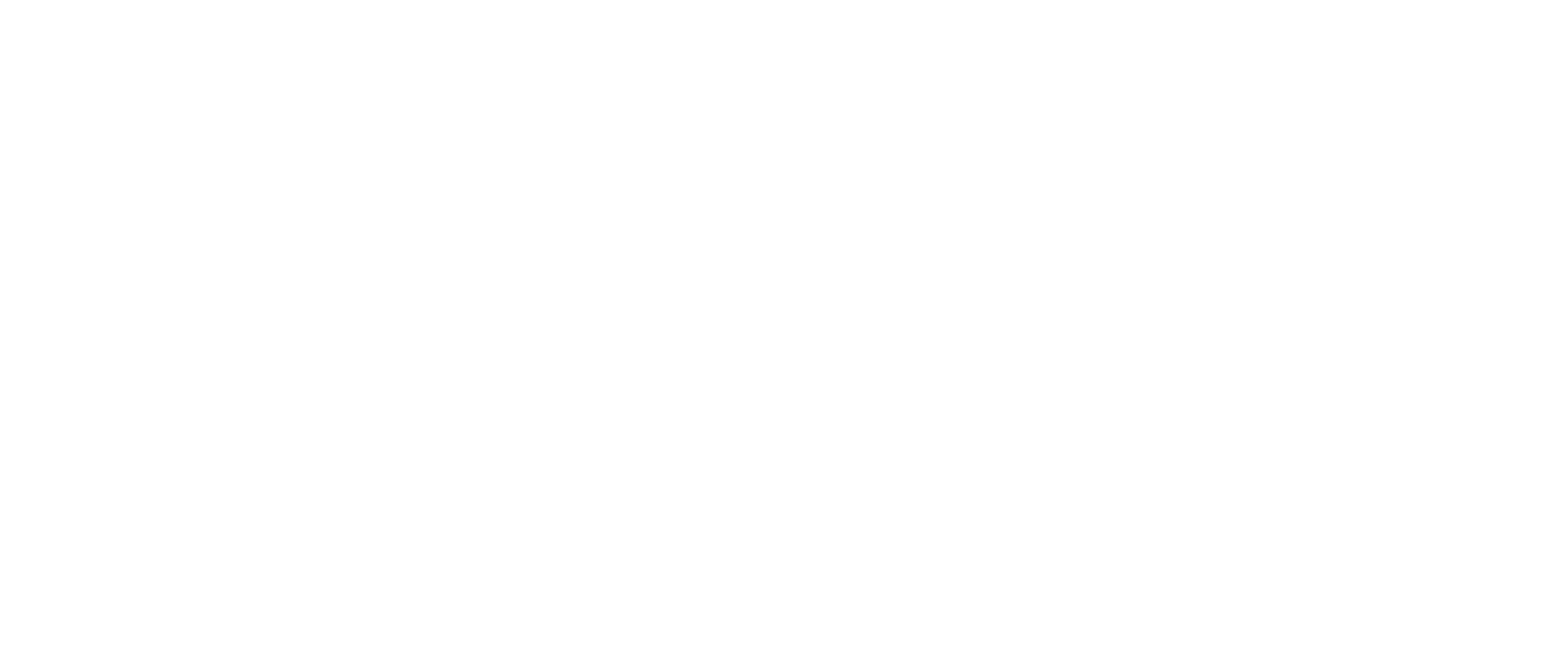 Logo Canella Servizi
